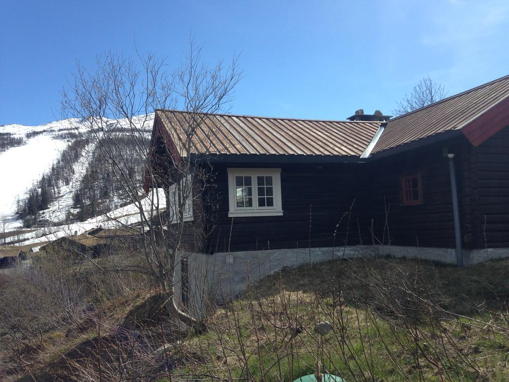 Alpelia Villa Хемседал Екстериор снимка